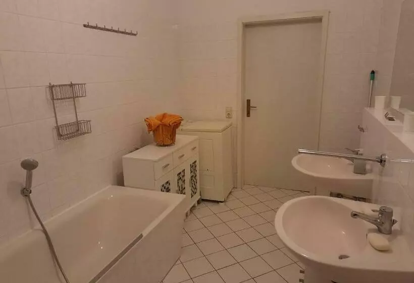 ペンション Arthur Albert Apartment  7 Wohnungen Für Geschäftsreisende   Wie Zu Hause