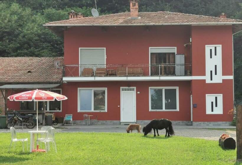 بنسيون The Horse