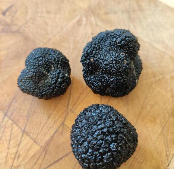 צימר Chez Pascaline