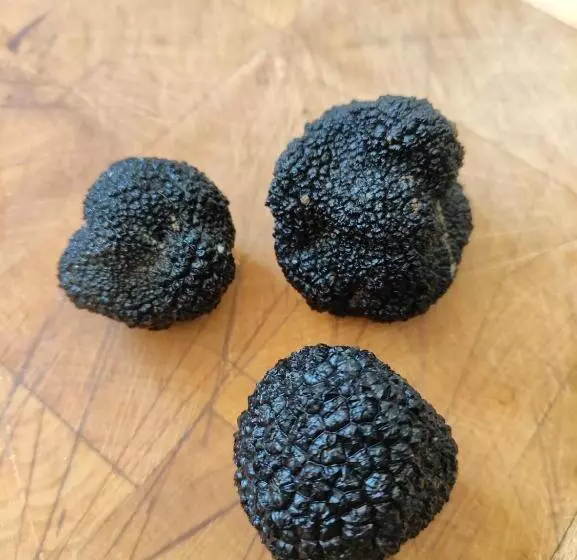 ベッドアンドブレックファースト Chez Pascaline