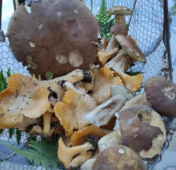 צימר Chez Pascaline