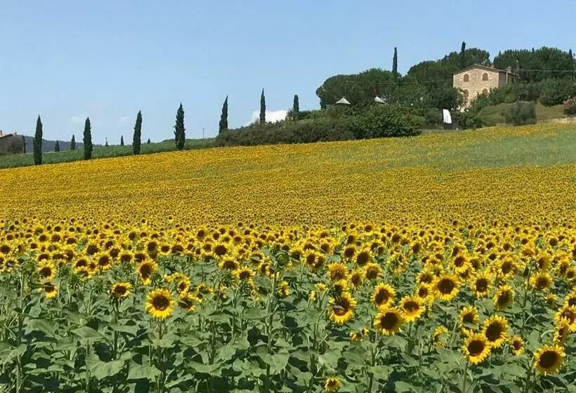 Aamiaismajoitus (B&B) Il Vecchio Seccatoio