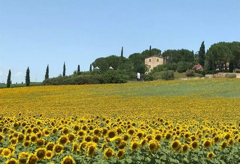 Aamiaismajoitus (B&B) Il Vecchio Seccatoio