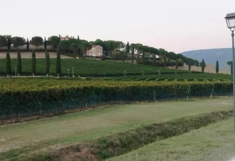 Aamiaismajoitus (B&B) Il Vecchio Seccatoio