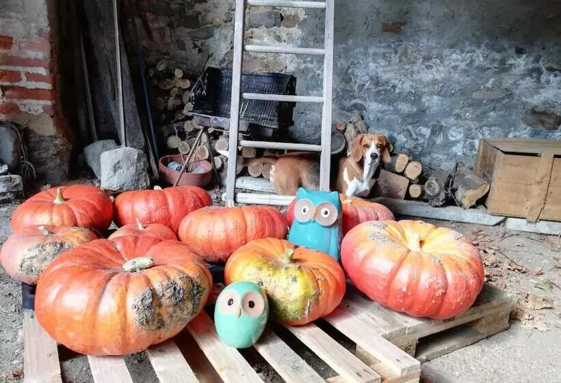 ベッドアンドブレックファースト Les Bessonnes