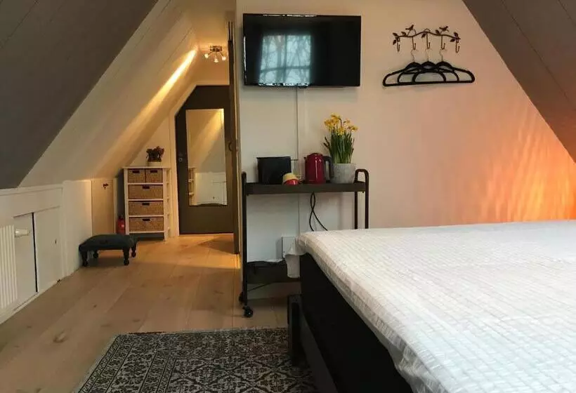 Aamiaismajoitus (B&B) Nabij De Molen