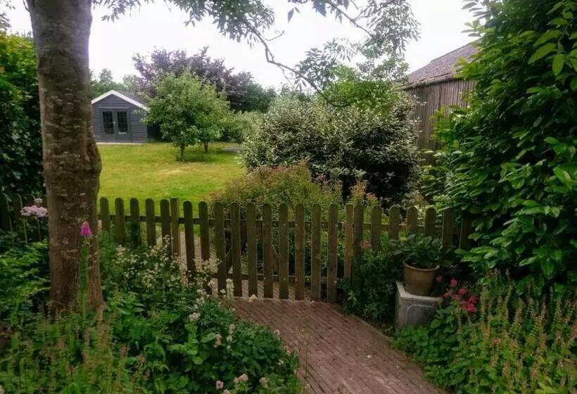 Aamiaismajoitus (B&B) Nabij De Molen