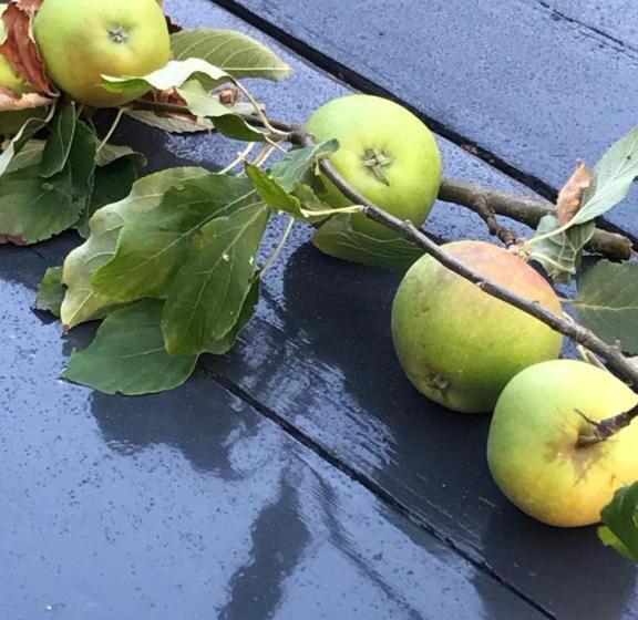 Bed and Breakfast Nabij De Molen