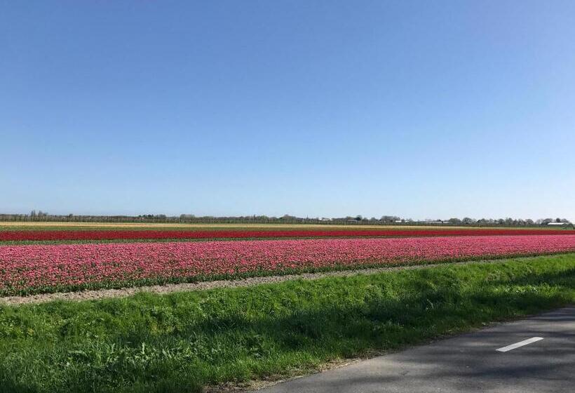 Bed and Breakfast Nabij De Molen