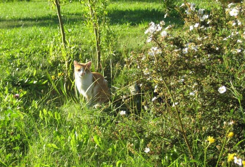 호텔 Ferienwohnungen Haberberger