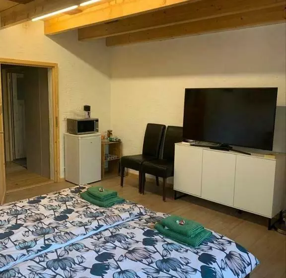 ペンション Bio Hof Moosburg Am See Mit Sauna