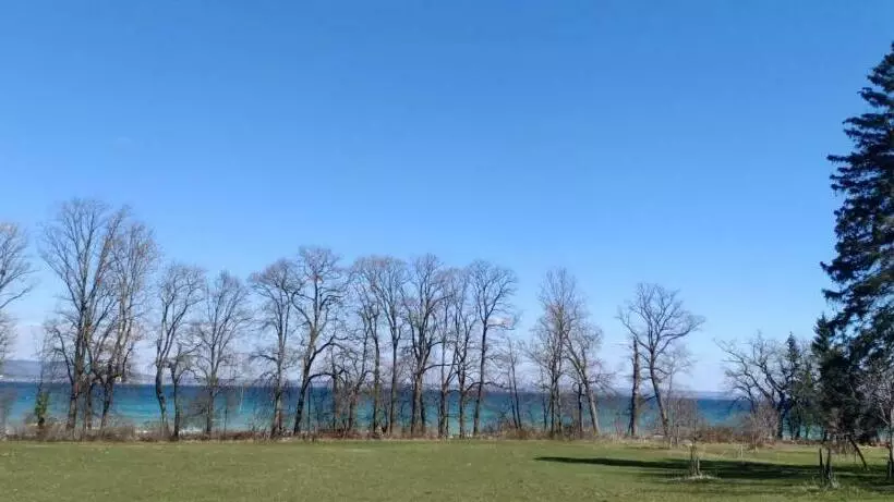 ペンション Bio Hof Moosburg Am See Mit Sauna