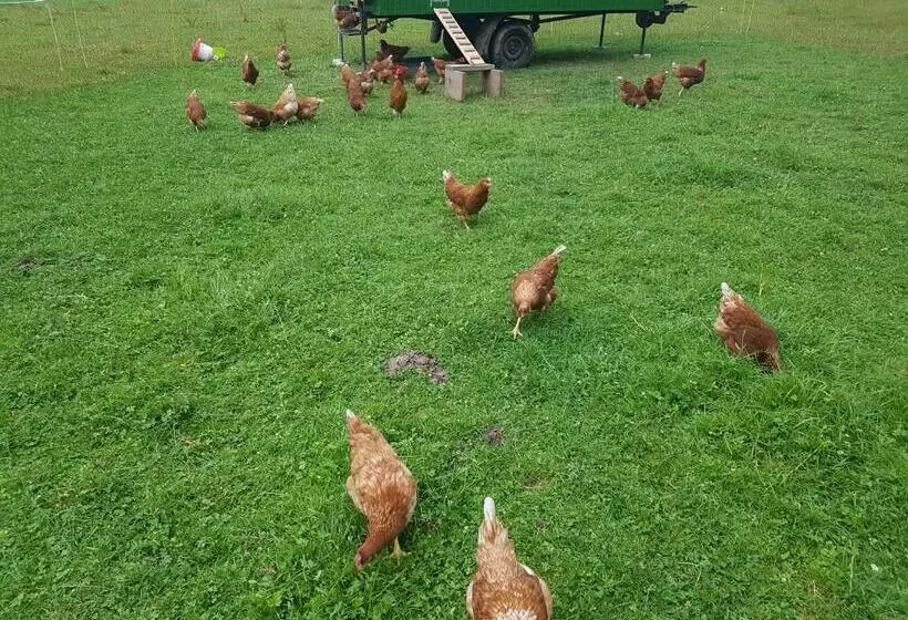 ペンション Bio Hof Moosburg Am See Mit Sauna