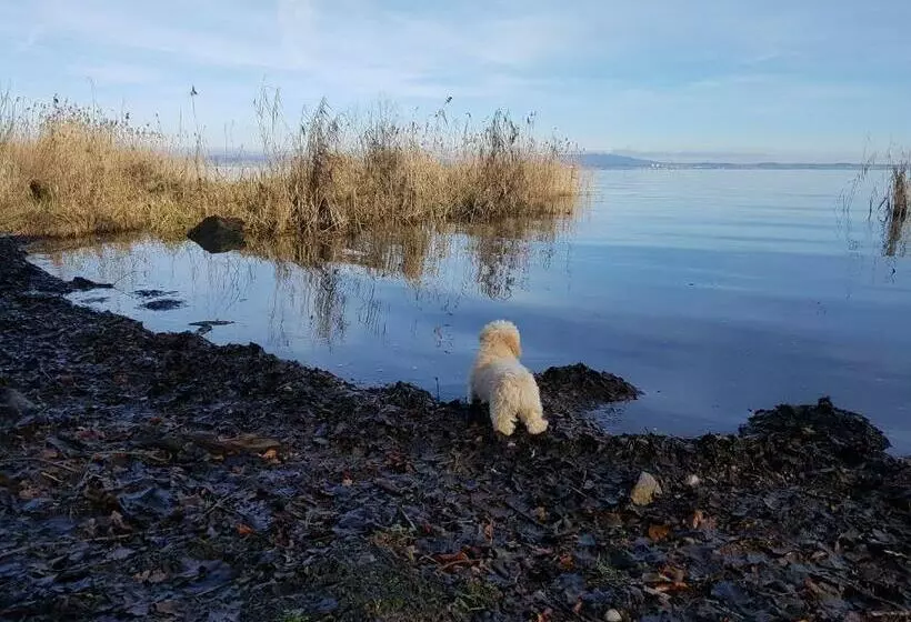 ペンション Bio Hof Moosburg Am See Mit Sauna