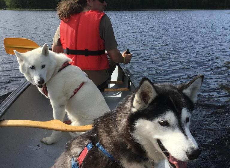 פנסיון Cabin On Husky Farm