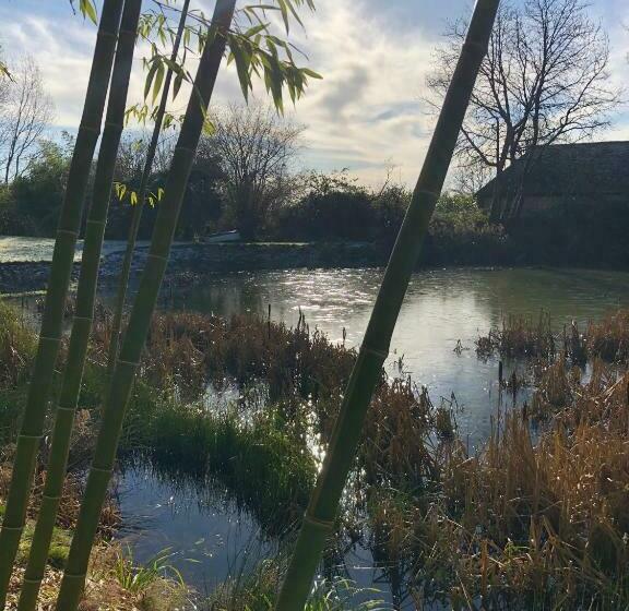 The Bamboo Lodge B&b / Self Catered Apartment