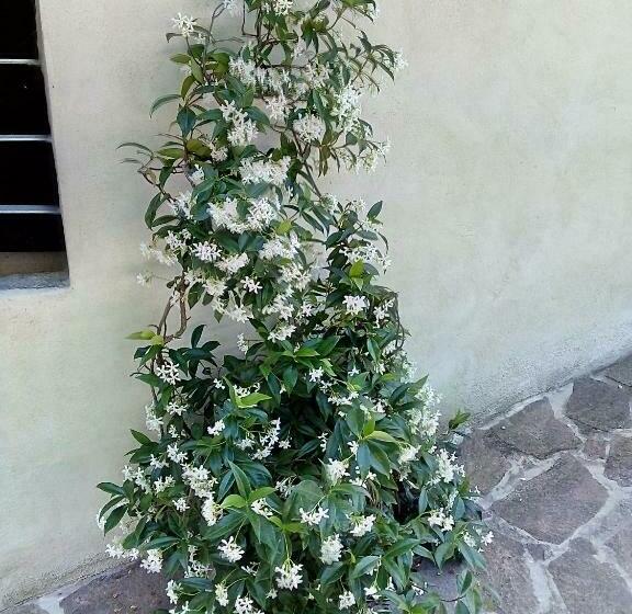 B&b La Casa Nel Bosco