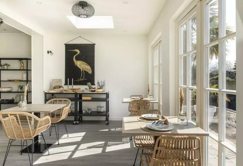 Aamiaismajoitus (B&B) De Heerlijkheid Van Noordwelle Adults Only