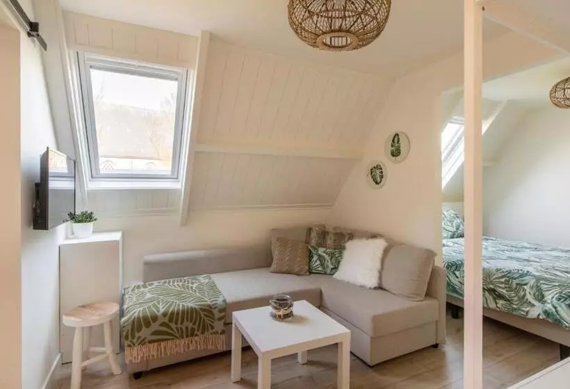 Aamiaismajoitus (B&B) De Heerlijkheid Van Noordwelle Adults Only