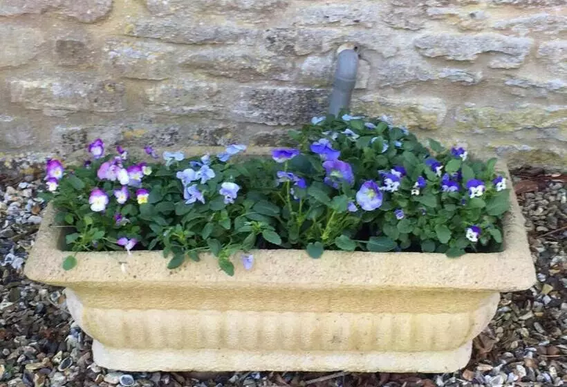 تختخواب و صبحانه The Long House