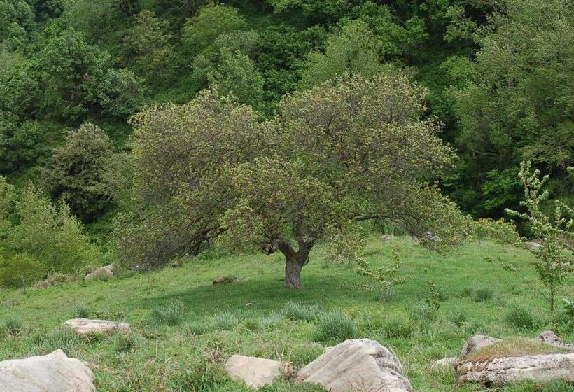 בית מלון כפרי Agriturismo Il Capitano