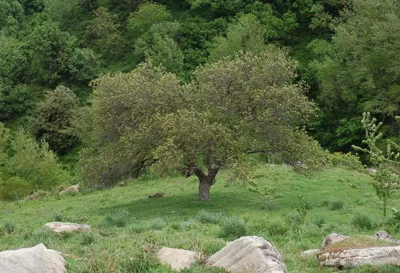 Hotelli Agriturismo Il Capitano