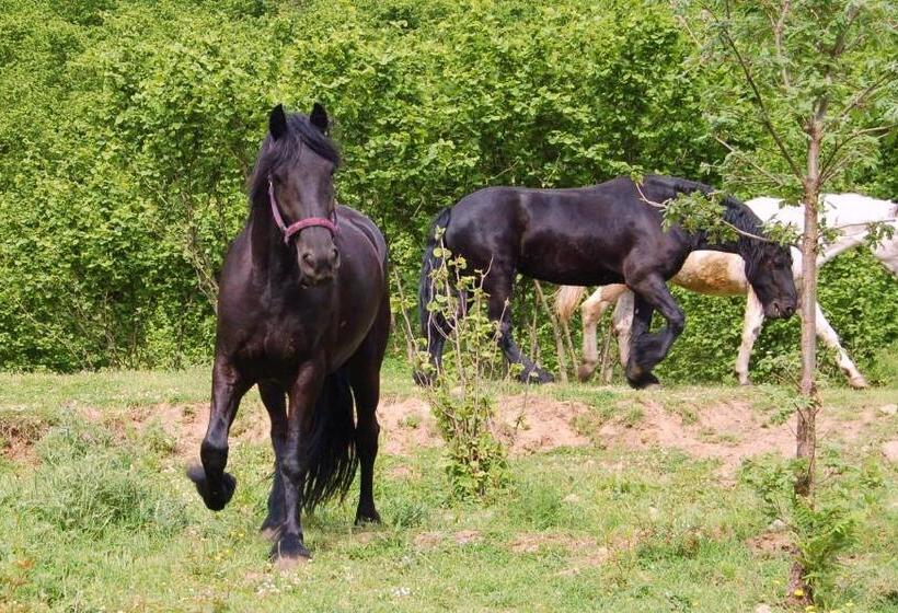 בית מלון כפרי Agriturismo Il Capitano