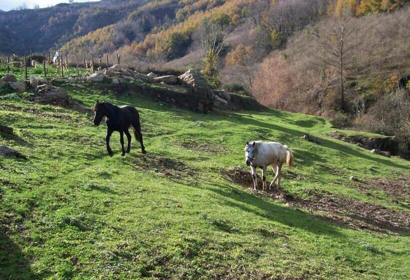 בית מלון כפרי Agriturismo Il Capitano