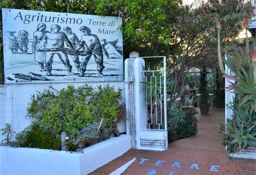 בית מלון כפרי Agriturismo Terre Di Mare Bordighera