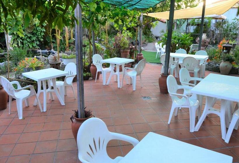 בית מלון כפרי Agriturismo Terre Di Mare Bordighera