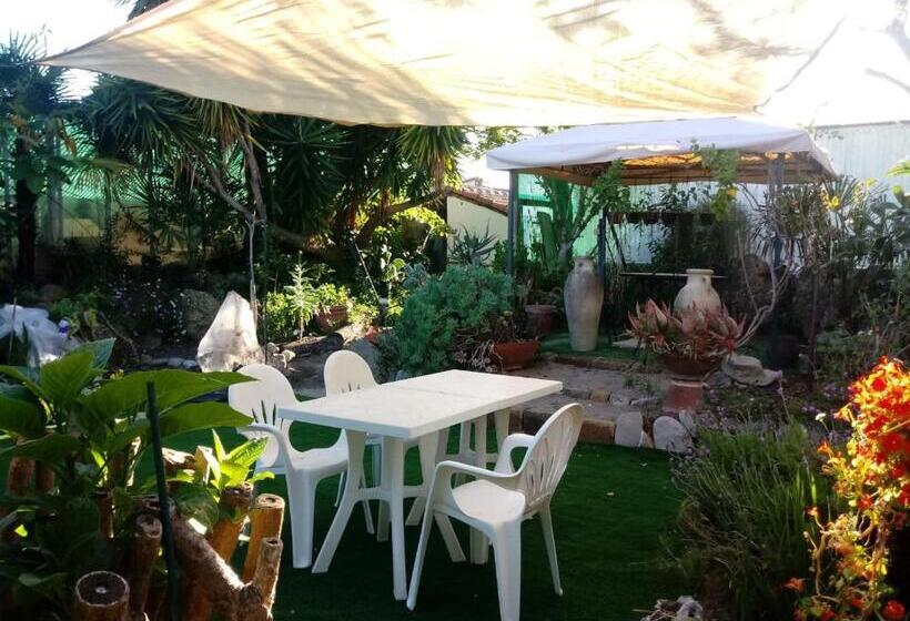 בית מלון כפרי Agriturismo Terre Di Mare Bordighera