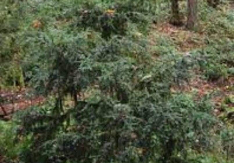 Lanzarotta Bed And Breakfast