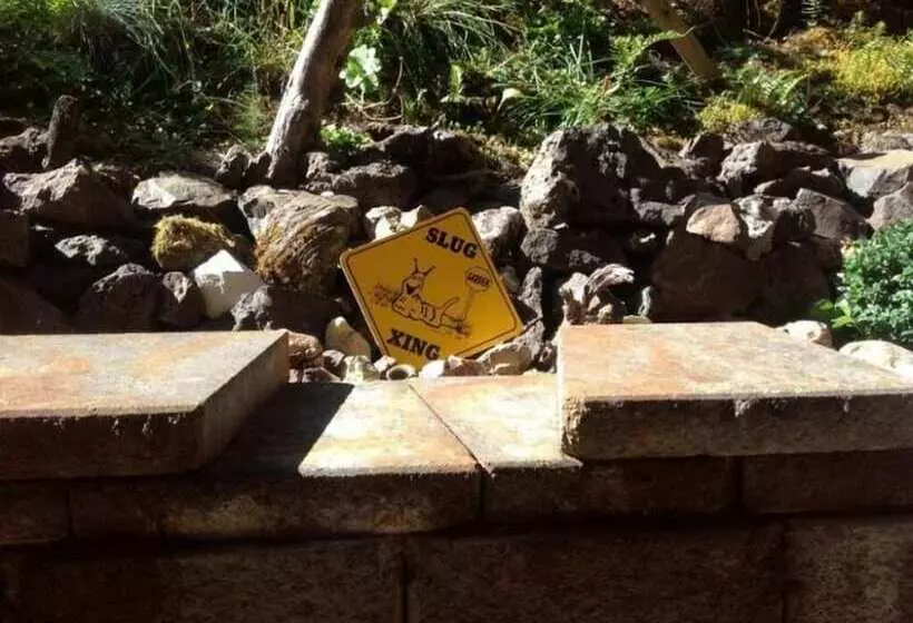 Lanzarotta Bed And Breakfast