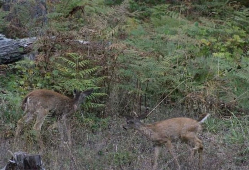 Lanzarotta Bed And Breakfast