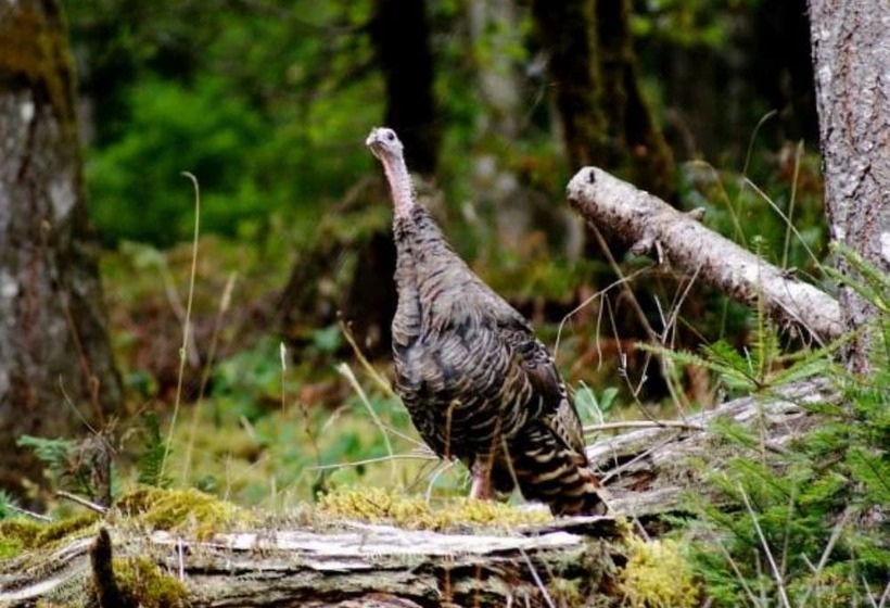 Lanzarotta Bed And Breakfast