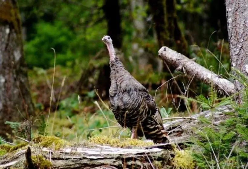 Lanzarotta Bed And Breakfast