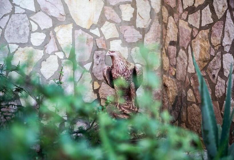 ベッドアンドブレックファースト Accussì