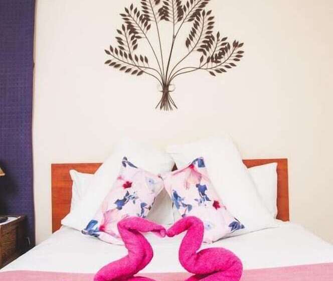 تختخواب و صبحانه Ferndale Lodge