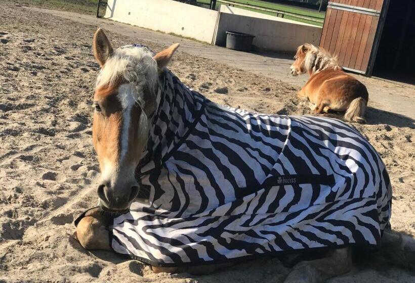 צימר Landelijk Hijken