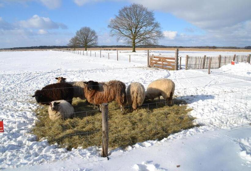 צימר Landelijk Hijken