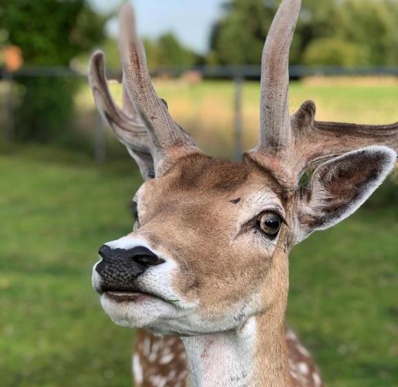 צימר Landelijk Hijken