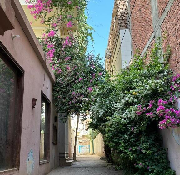 پانسیون Comfy Apartments In Harmony House Nile View