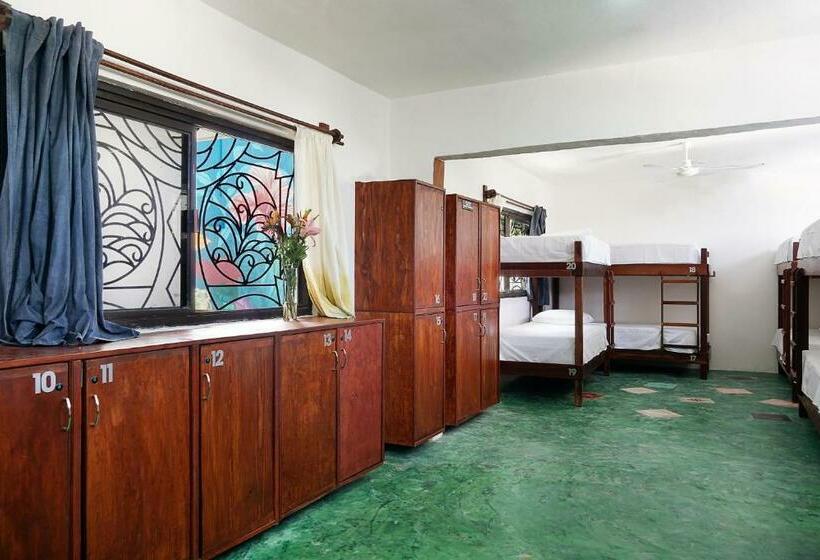 Hostel Red Panda Hostal