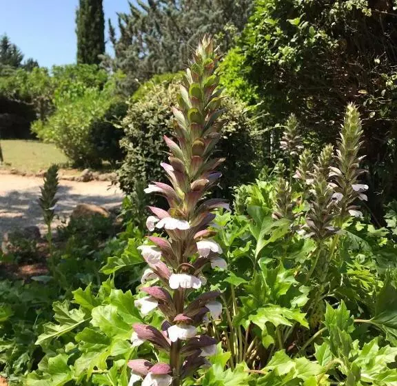 ベッドアンドブレックファースト L  Esmerand