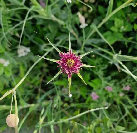 ベッドアンドブレックファースト L  Esmerand