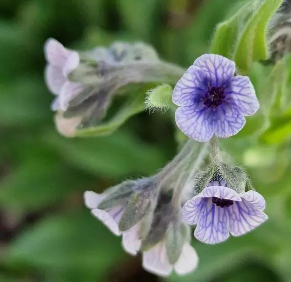 ベッドアンドブレックファースト L  Esmerand