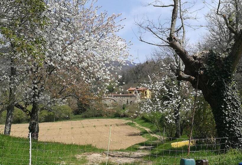 هتل Podere Groppini