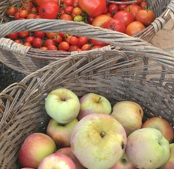 هتل Podere Groppini