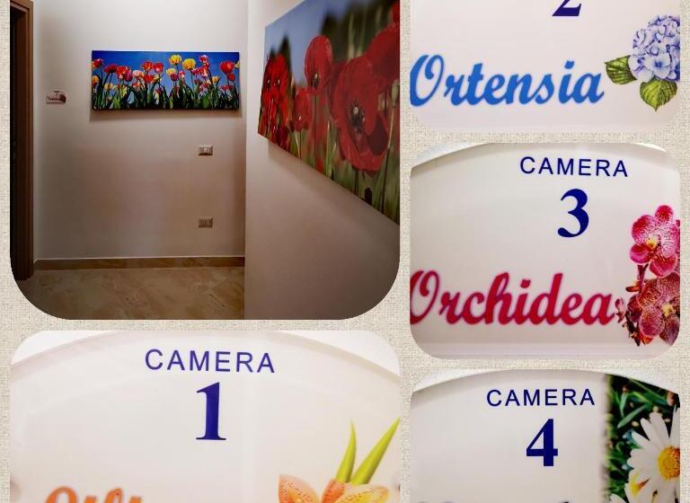 پانسیون Fiori E Colori