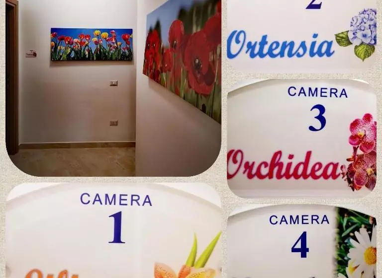 Majatalo Fiori E Colori